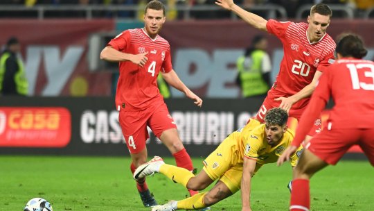 Florinel Coman a cerut penalty la România - Elveția. Ce arată reluările