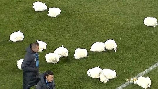 Gigi Becali, reacție surprinzătoare după ce gazonul de la Cluj a fost invadat de oi de pluș: ”De ce e supărare?”