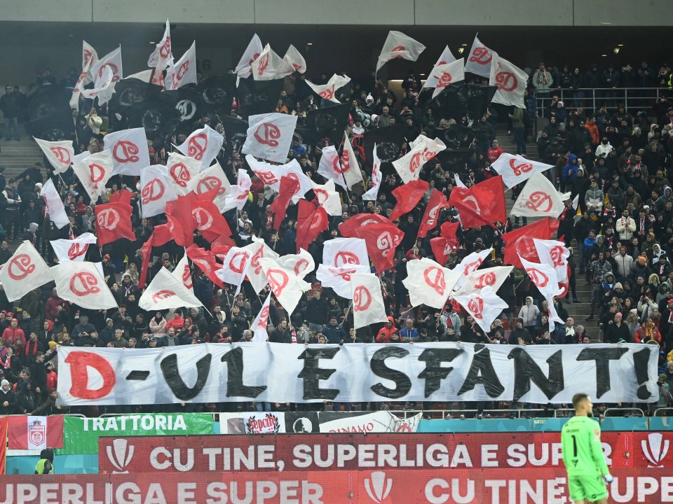 Suporterii lui Dinamo