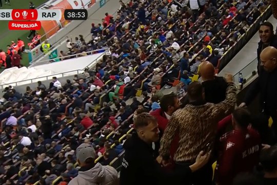 VIDEO | Dan Bursuc și Piedone, surprinși în tribunele Arenei Naționale. Cei doi au venit să vadă FCSB - Rapid