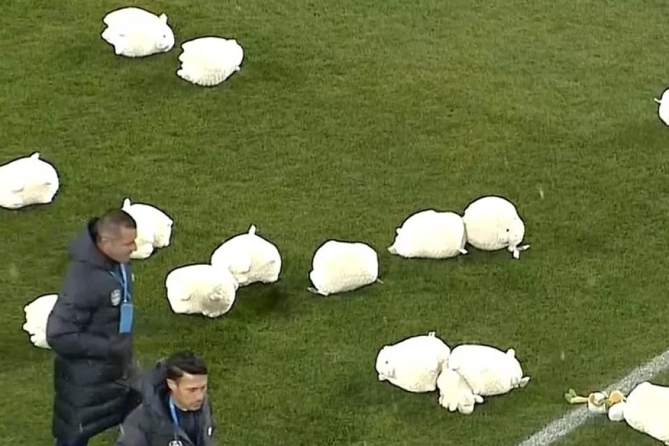 Fanii CFR-ului au aruncat cu oi de pluș înainte de meciul cu CFR