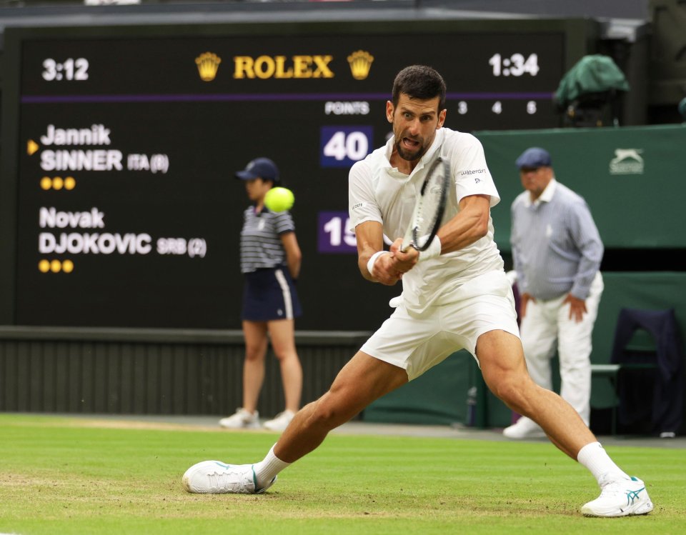 Novak Djokovic, în finală la Wimbledon