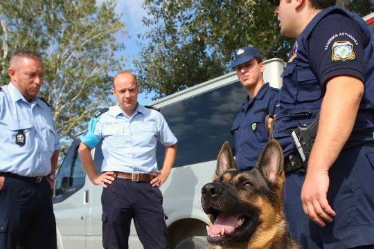 Șapte fani ai Petrolului au fost arestați în Grecia după ce au fost prinși cu arme albe! Unde se îndreptau suporterii