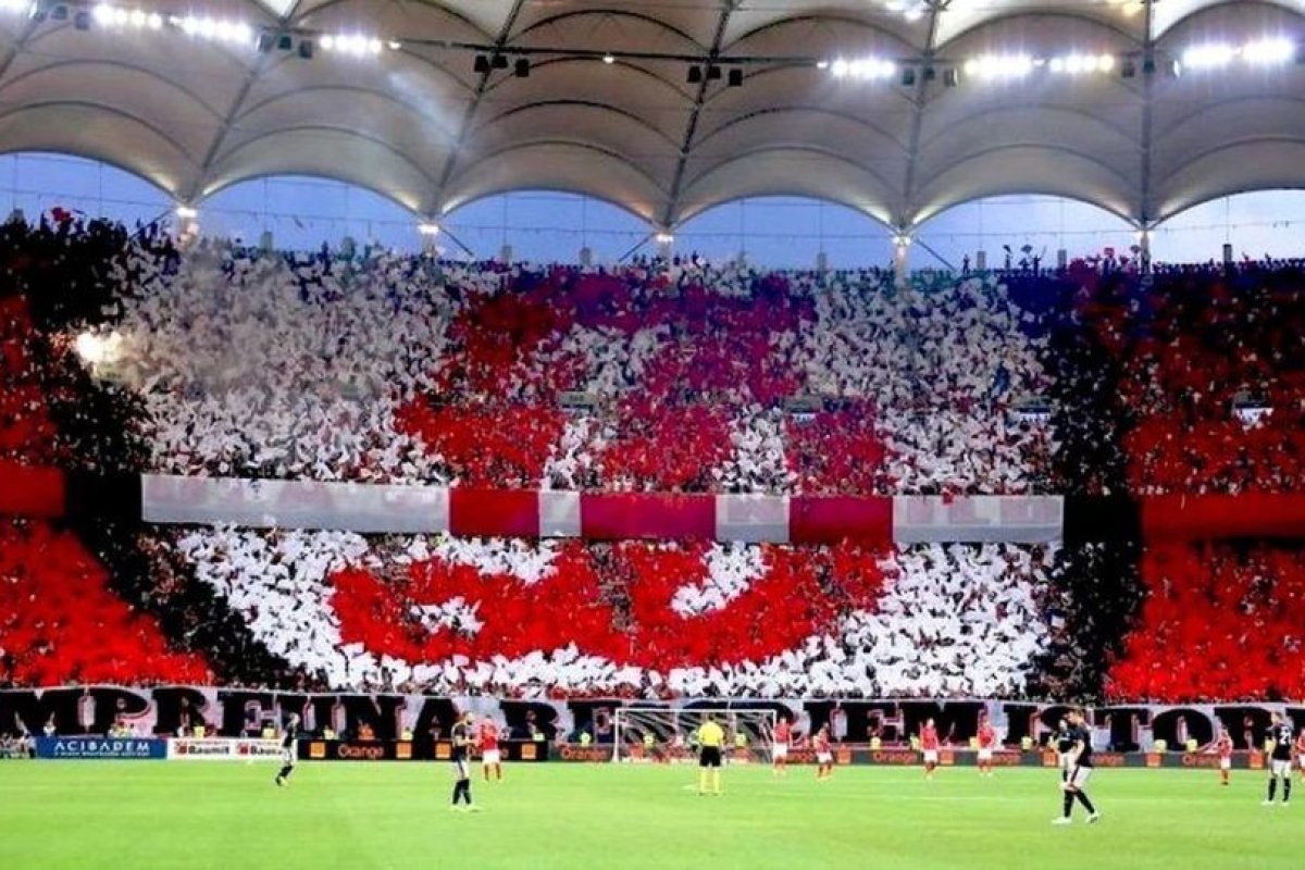 Suporterii lui Dinamo