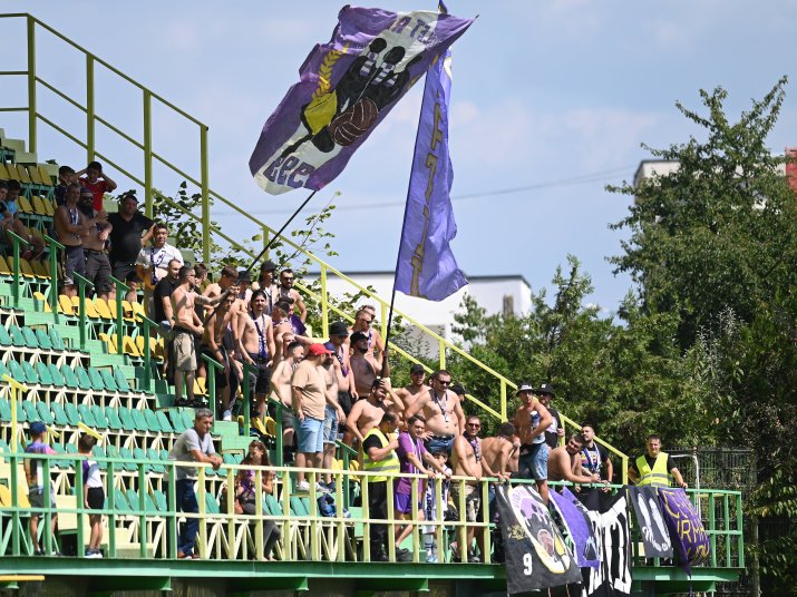Fanii echipei FC Argeș