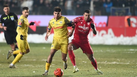 Petrolul – Dinamo pe iAMsport.ro, ACUM. Derby de tradiție în Superligă