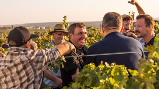 Imagini unice cu Gheorghe Hagi la culesul viei! "Regele", actor principal în cel mai nou spot TV