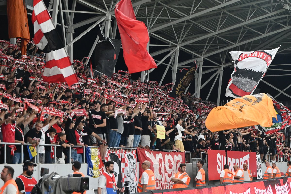 Suporterii lui Dinamo