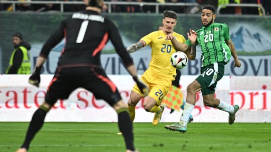 Dennis Man a dezvăluit motivul pentru care România nu a fost la un nivel ridicat cu Irlanda de Nord: "S-a văzut"