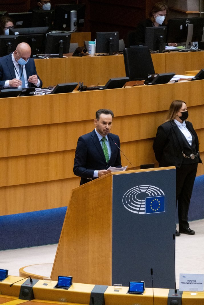 Gheorghe Falcă, în Parlamentul European