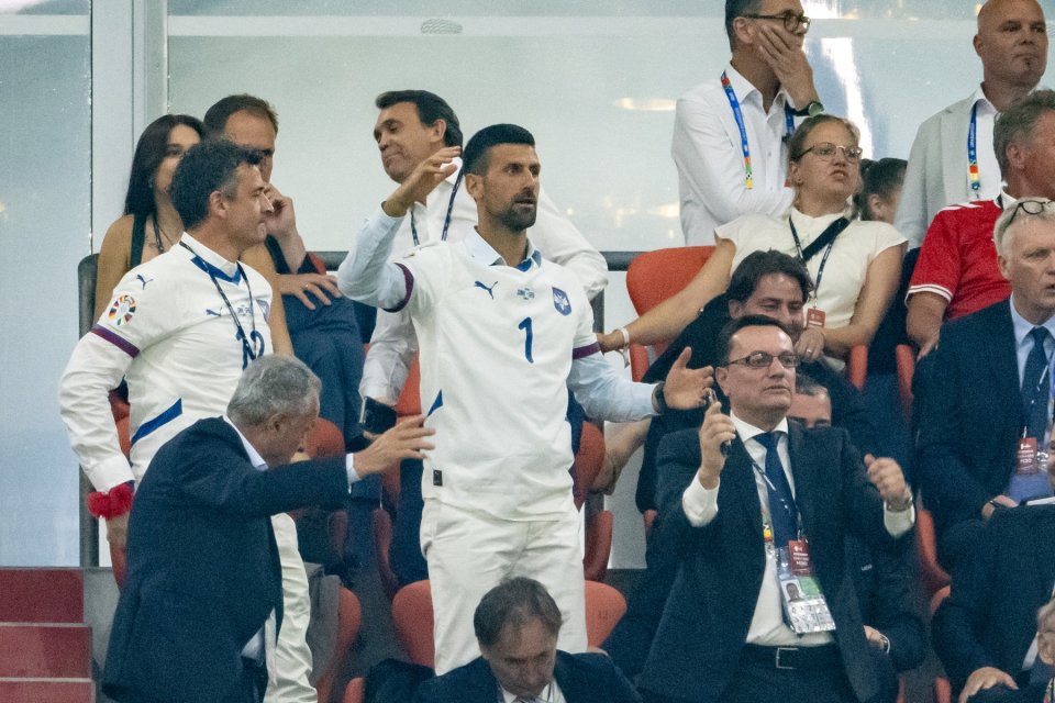 Novak Djokovic a trăit ca un ultras meciul Serbia - Danemarca, scor 0-0, de la EURO 2024