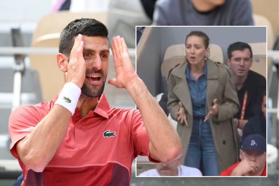 Novak Djokovic și Jelena Djokovic, schimb de replici pe teren, la Roland Garros