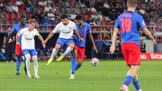 Câinele unui jucător de la FCSB a atacat o fetiță în parc! Era plimbat fără lesă sau botniță