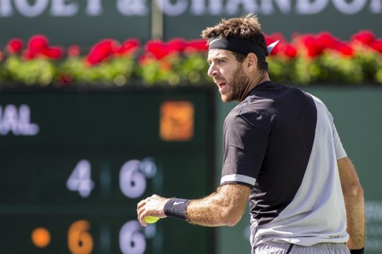 Del Potro revine pe terenul de tenis contra unui adversar de top