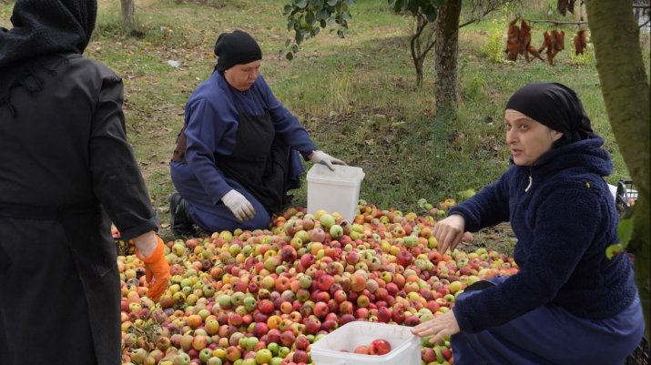 Când nu sunt la slujbă sau la rugăciune în propriile chilii, măicuțele culeg fructele din livada mănăstirii