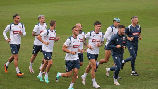 Mihai Rotaru iese la atac înainte de România - Lituania: "Nu-i plăcea fața lui"