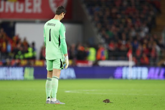Thibaut Courtois și Brennan Johnson, în căutarea șobolanului de pe stadionul din Cardiff