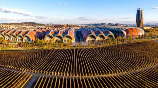 Cooperare Strategică Româno-Chineză în Industria Vinului: Delegația orașului Yantai s-a întâlnit cu APEV România