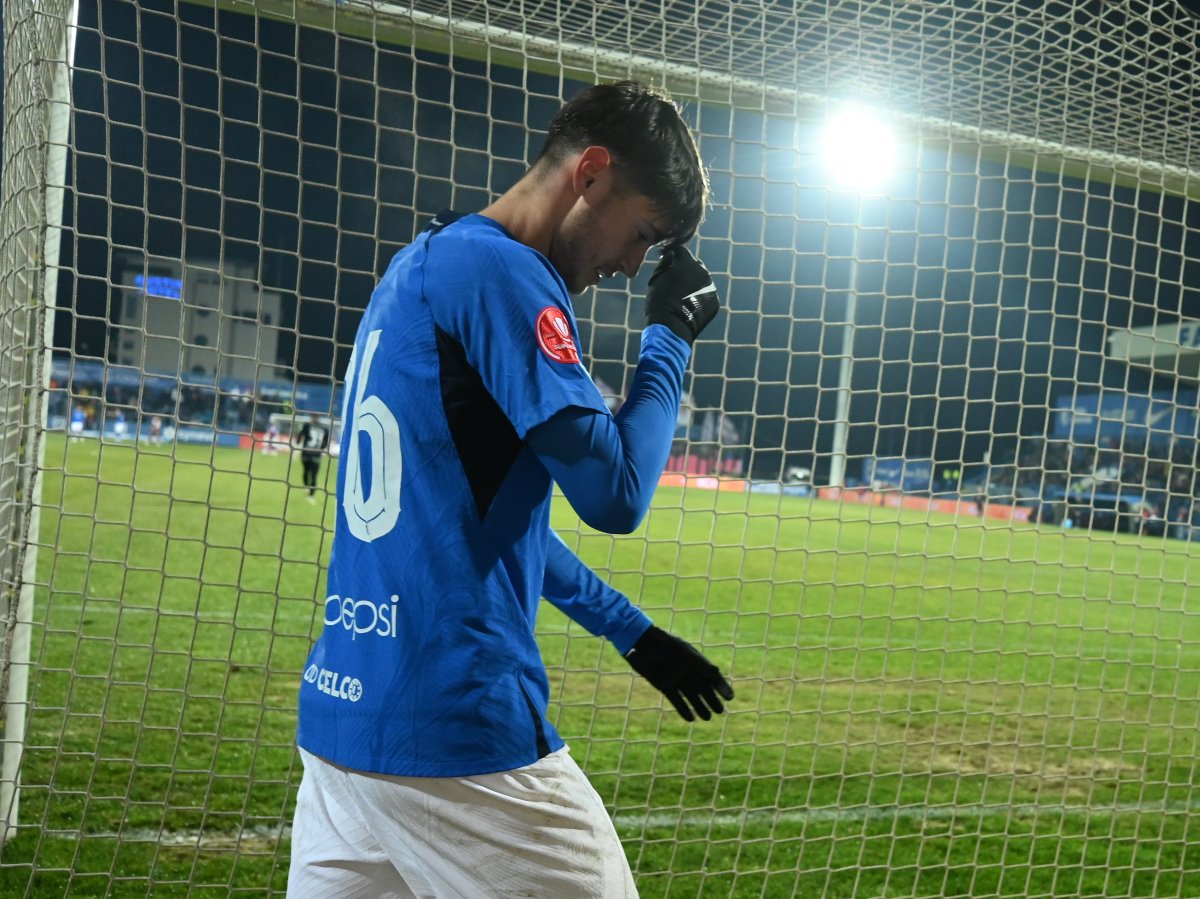 450.000 de euro au plătit ”câinii” în schimbul lui celor de la Brighton