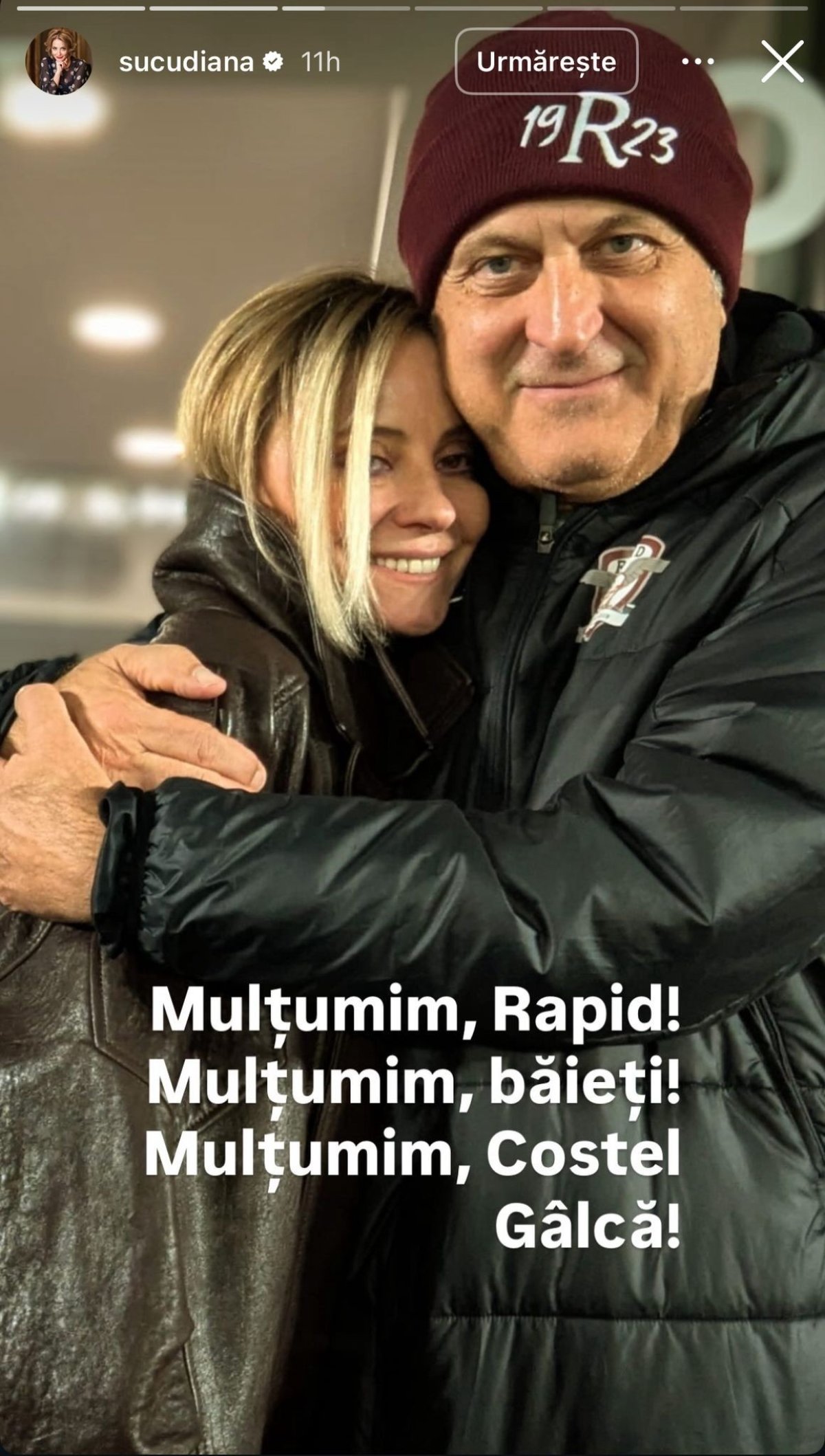 Diana Șucu și Dan Șucu