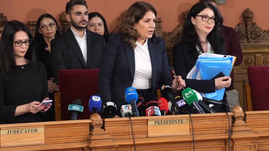 Ce apare în declarația de avere a Lianei Arsenie. Niciun cont bancar și 10 proprietăți moștenite în același an