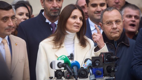 A distrus-o pe Anca Alexandrescu înaintea alegerilor: ”A slujit o grămadă de PSD-iști! E o țață, o spoială de cultură de cea mai joasă speță, un om care nu se pricepe la nimic”