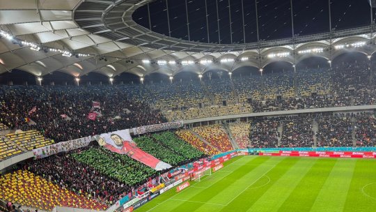 Și-a făcut mătănii și a zbierat în tribună, apoi a fost scos de jandarmi de pe Arena Națională