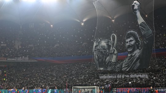 ”FCSB înseamnă 'Fotbal Club Steaua București', nu 'Faci Ce Spune Becali'. Înseamnă că e Steaua, cum să fie o greșeală? Gigi e un infractor, dar echipa nu are vină”