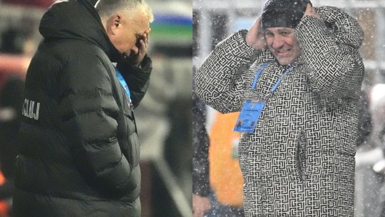 ”Cine cade primul, Petrescu sau Șumudică?”. Fostul oficial din Liga 1 a dat răspunsul imediat și a provocat stupoare în studio