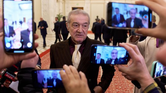 ”Aproape am uitat că se joacă Lyon - FCSB. Gigi Becali se ocupă cu altele acum, să o încadreze politic pe Ana Maria Gavrilă!”