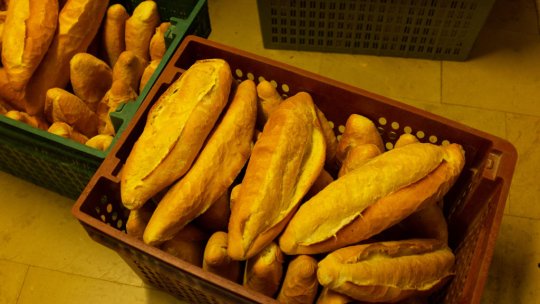 Cum a ajuns un titular al României de la Campionatul Mondial să lucreze într-o fabrică de pâine: "Ai făcut facultatea pe bune?"