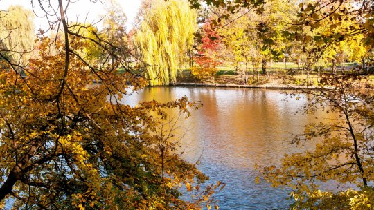 Omul lui Nicușor Dan a intrat în direct la I AM SPORT LIVE, a făcut o promisiune în privința Arenei Naționale și a explicat situația becurilor din Herăstrău