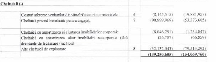 Cheltuielile Stelei în 2024