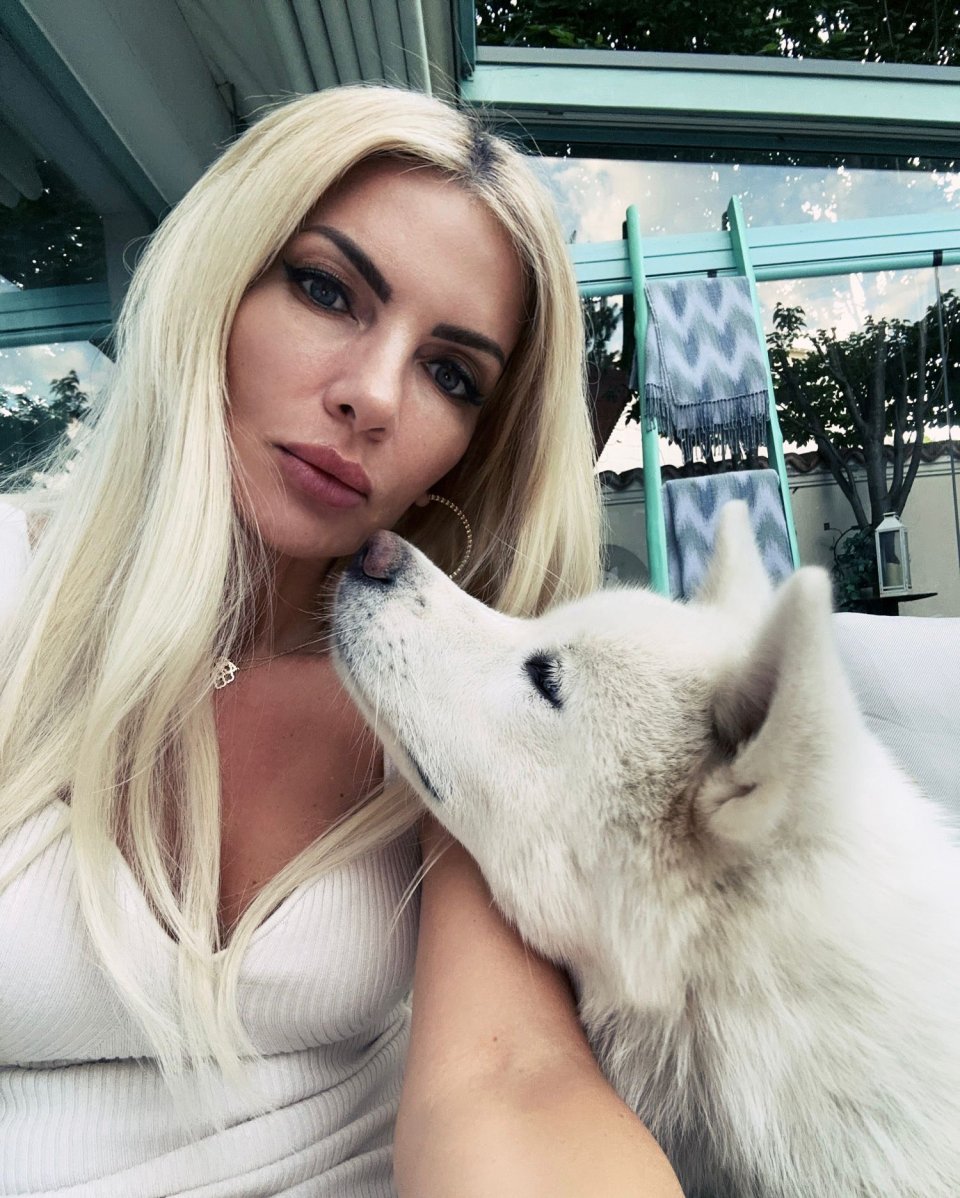Laura Vicol este anchetată în dosarul Nordis
