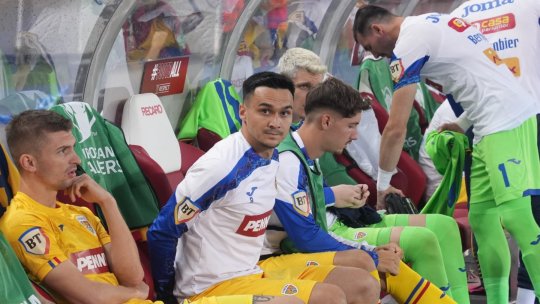 A văzut meciul României cu Austria de lângă teren și a tras concluziile: ”Chiar am vorbit cu Tănase și asta spunea”