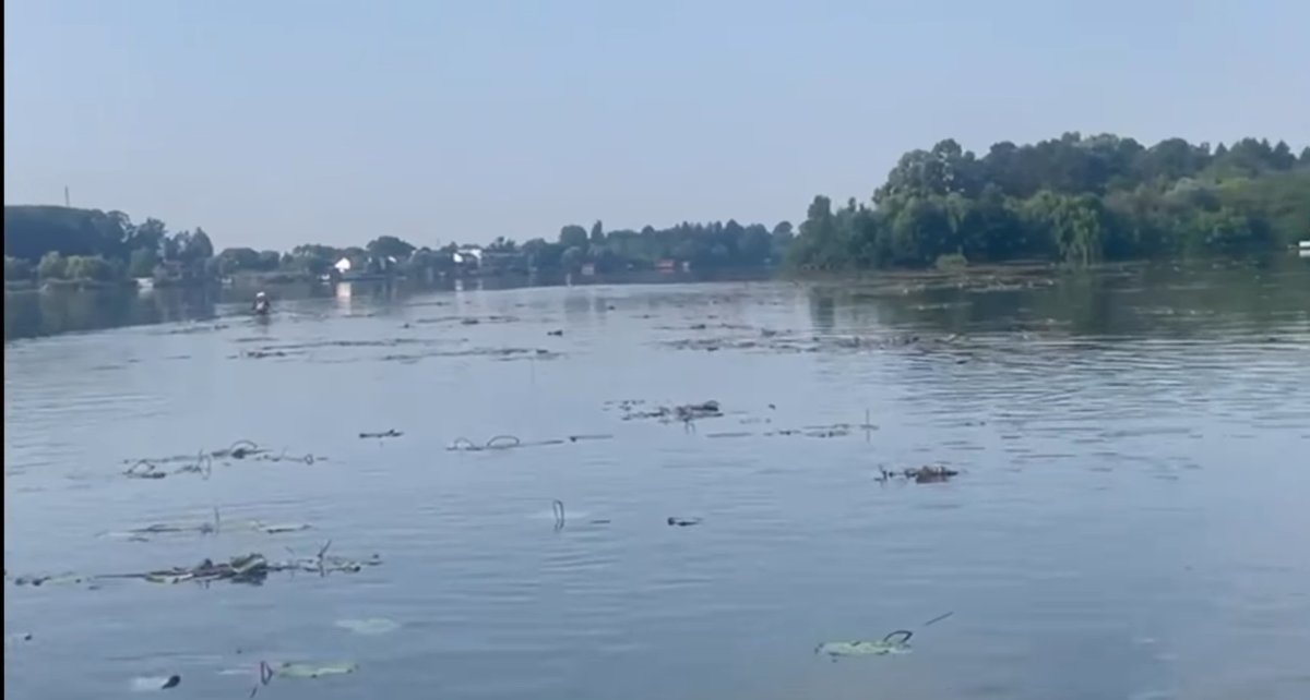 Foto 1/4