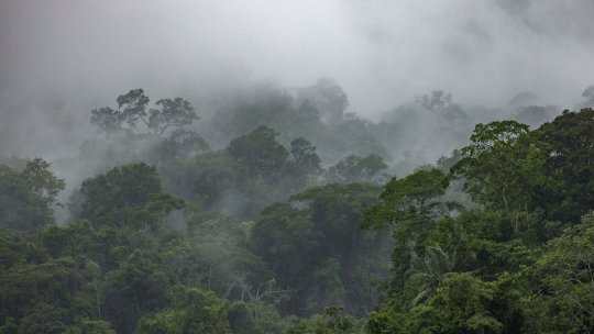 Oficialul Rapidului a fost taxat după perioada petrecută în junglă: ”Știți care e povestea?”