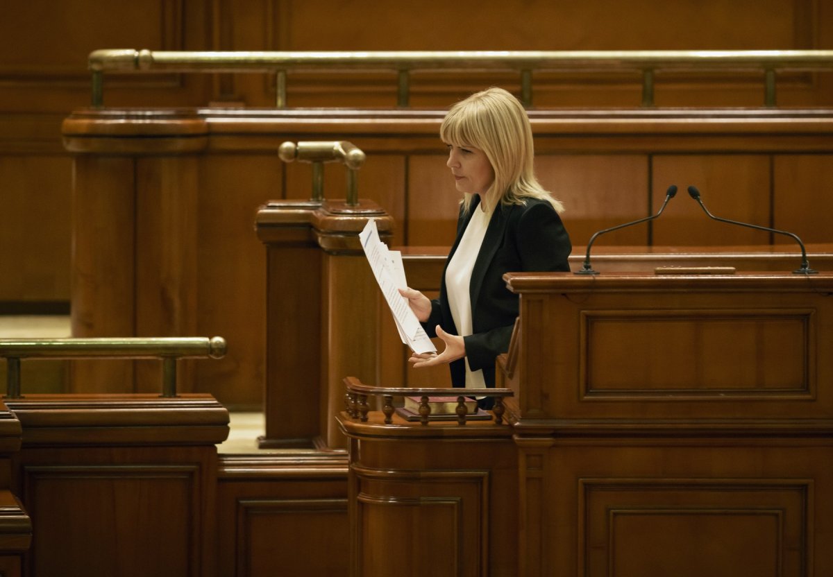 Elena Udrea, fostul ministru al Turismului