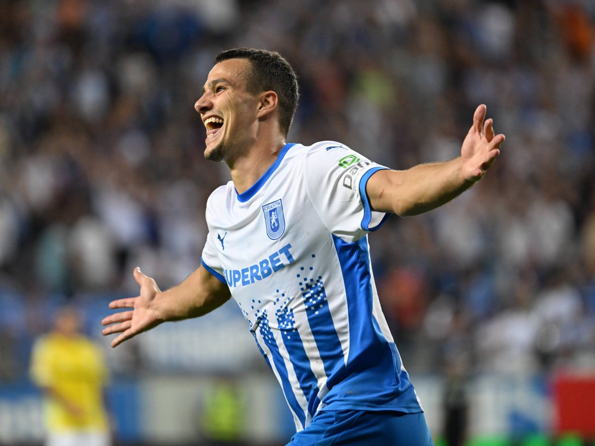 Hamlawi a fost adus din Polonia, de la Slask Wroclaw