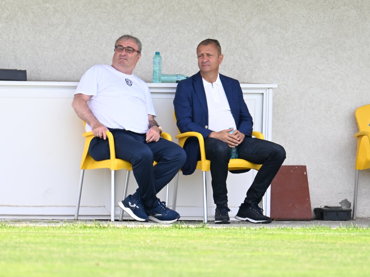 Mihai Stoichiță și Gabriel Bodescu
