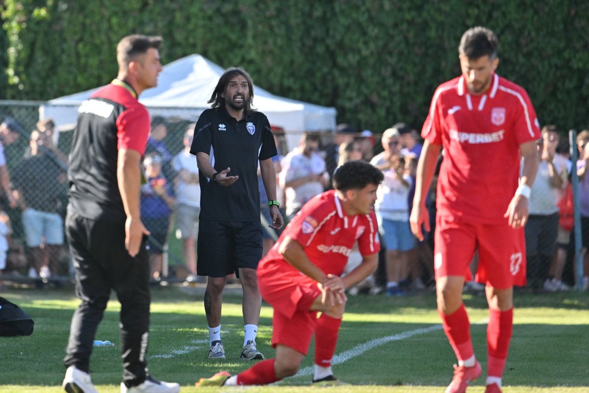 Dan Alexa a intrat pe teren, după decizia arbitrului