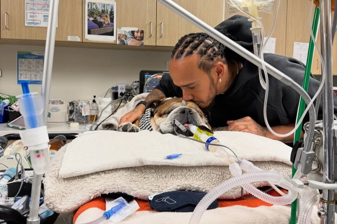 Lewis Hamilton a abandonat testele de anvelope pentru a fi alături de câinele lui