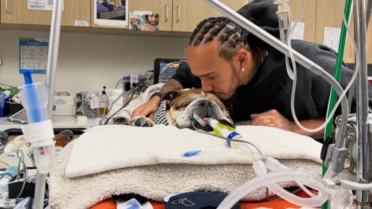 Lewis Hamilton, cu inima frântă: ”Mi-am pierdut cel mai bun prieten”
