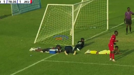 Invazie de albine la un meci de fotbal! Jucătorii s-au ascuns sub bănci