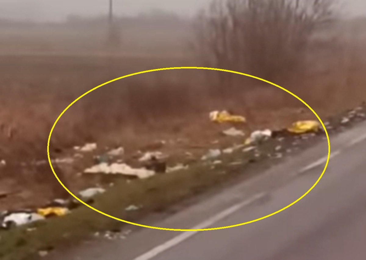 Un șofer grec a filmat resturile care au mai rămas din microbuzul implicat în accidentul de pe DN6