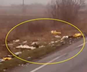 Ce a observat un șofer grec care a trecut pe lângă locul în care au murit 7 fani ai lui PAOK, la 4 ore de la tragedie: ”O lovitură în stomac”