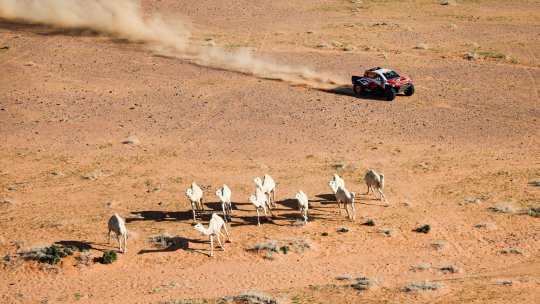 Dakar 2026, etapa 5: Benavides și Guthrie câștigă în Hail! Gyenes, pe locul 5 în clasamentul general