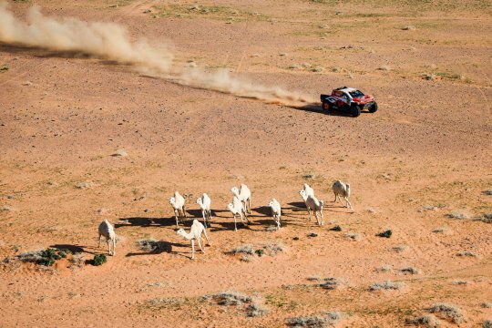 Dakar 2026, etapa 5: Benavides și Guthrie câștigă în Hail! Gyenes, pe locul 5 în clasamentul general