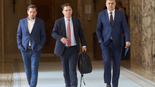 Un membru PSD, propus ministru al Apărării. Cine va decide soarta Stelei dacă Guvernul Niculescu va primi votul Parlamentului