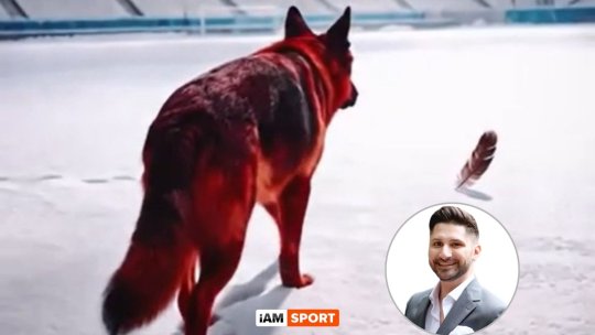 EDITORIAL VICTOR VRÎNCEANU: Pana neagră și o mare rușine alb-roșie